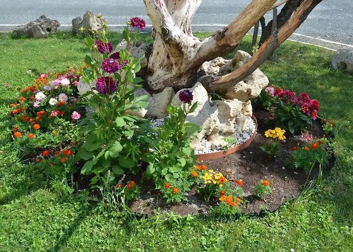 Formules Club 2 Cenon