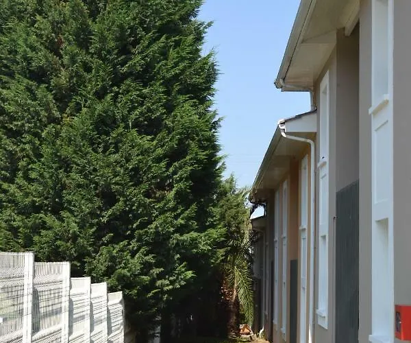 Formules Club 2 Cenon